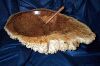 (Image: Red Mallee Large Burr Bowl)